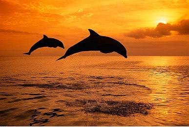 《小龙斯派罗：重燃三部曲》确认将加入Xbox Game Pass