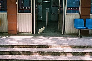 《歪小子斯科特对抗全世界》完整版Steam页面上线 1月6日发售