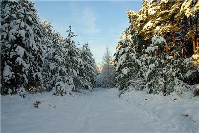《METAL EDEN》延期至9月2日发售 第一人称SF射击